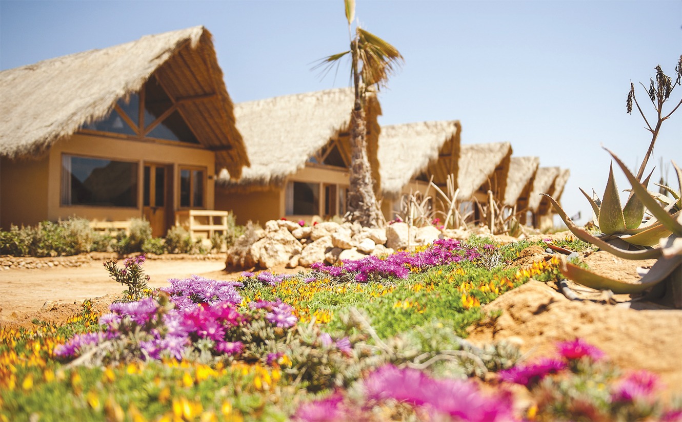 whatsapp image 2026 04 21 at 22.26.49